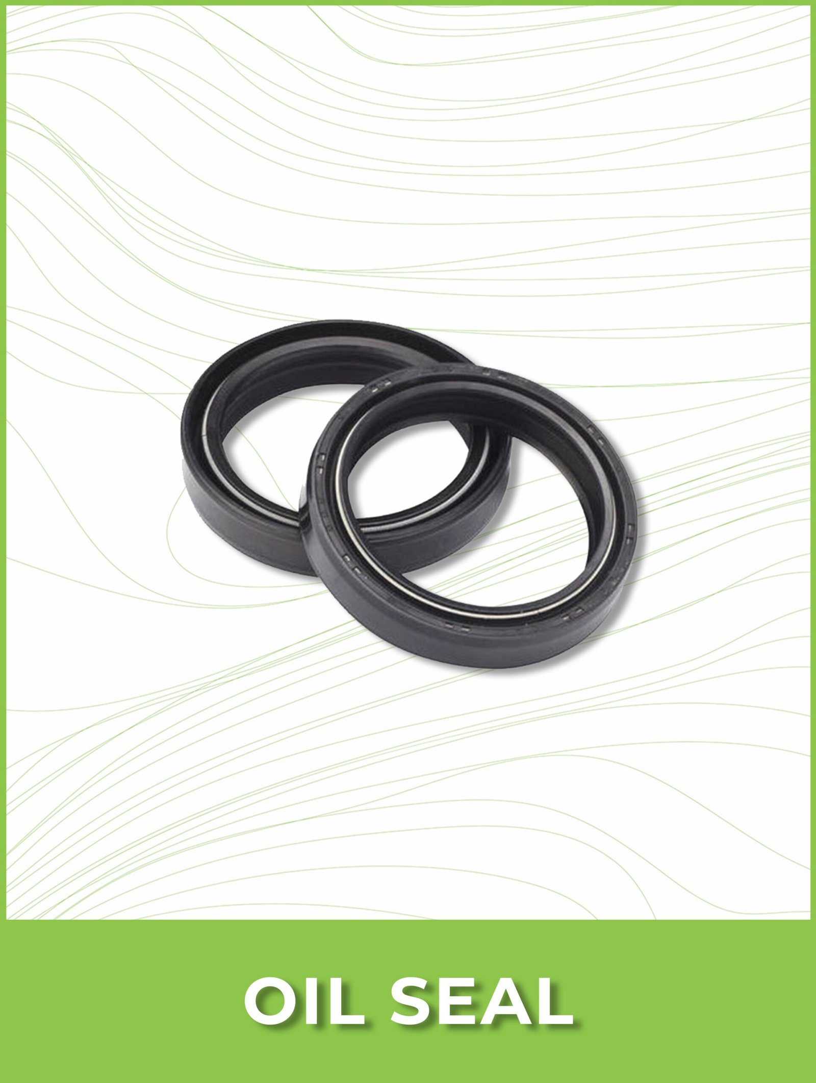 Oil Seals